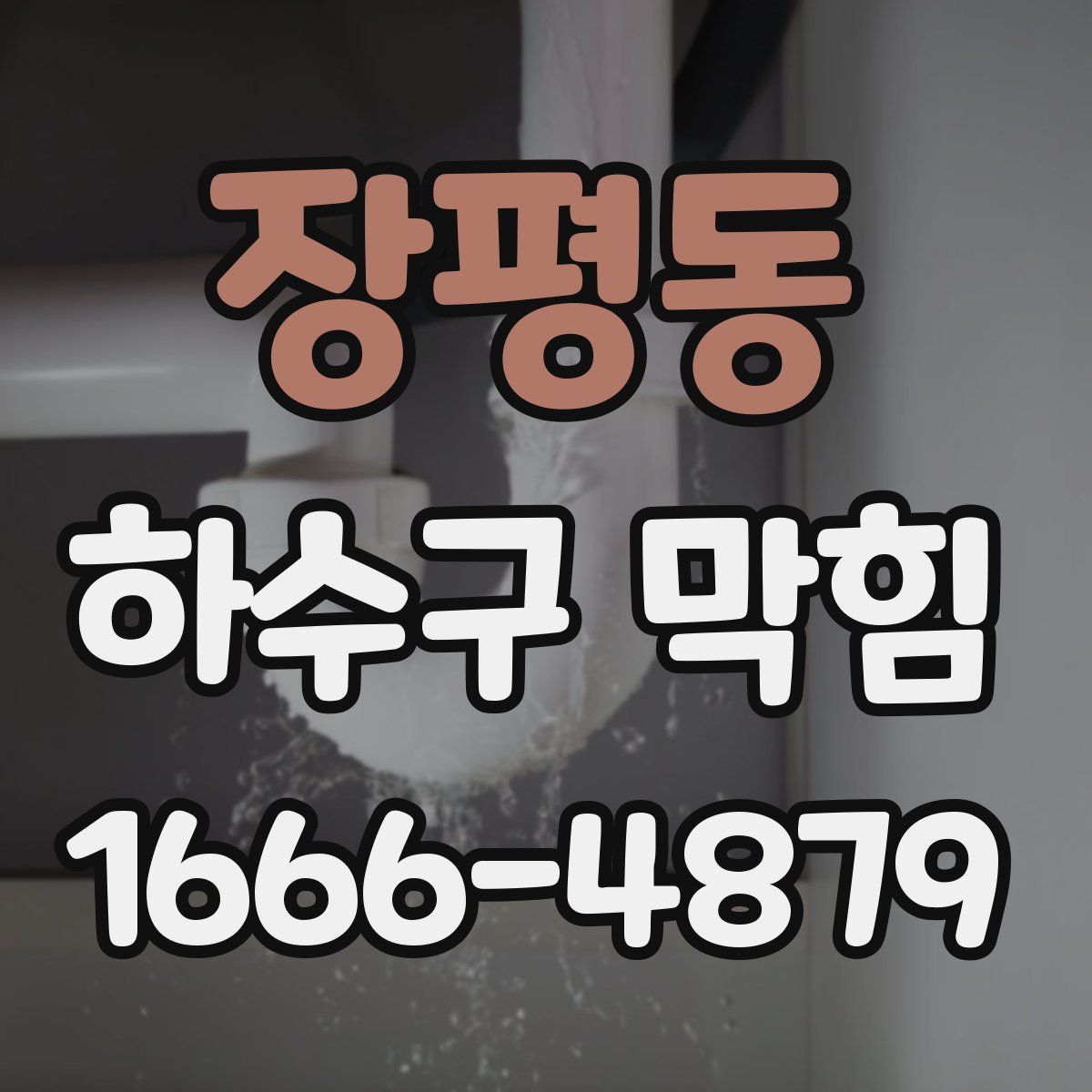 장평동 하수구 막힘