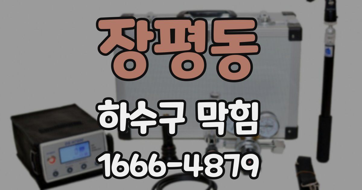 장평동 하수구 막힘