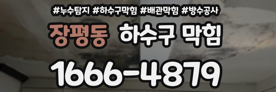 장평동 하수구 막힘