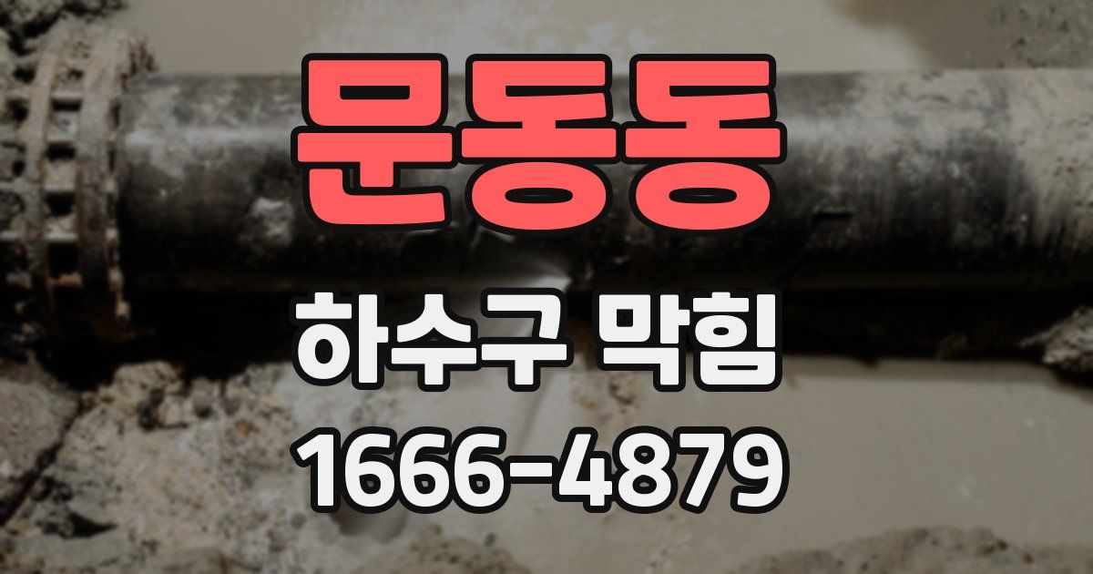 문동동 하수구 막힘