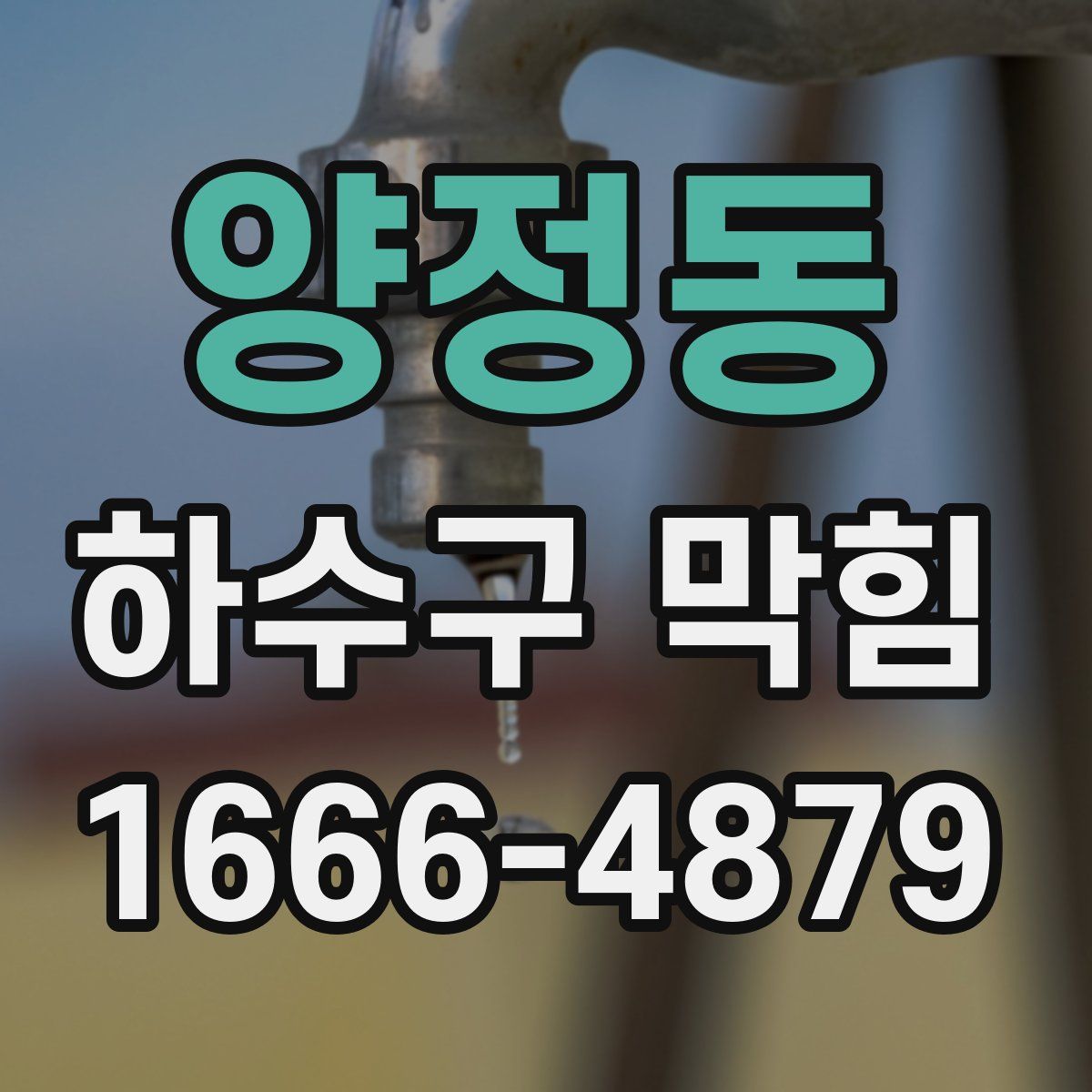 양정동 하수구 막힘