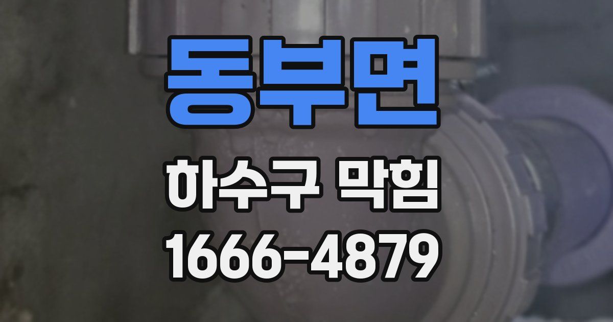 동부면 하수구 막힘