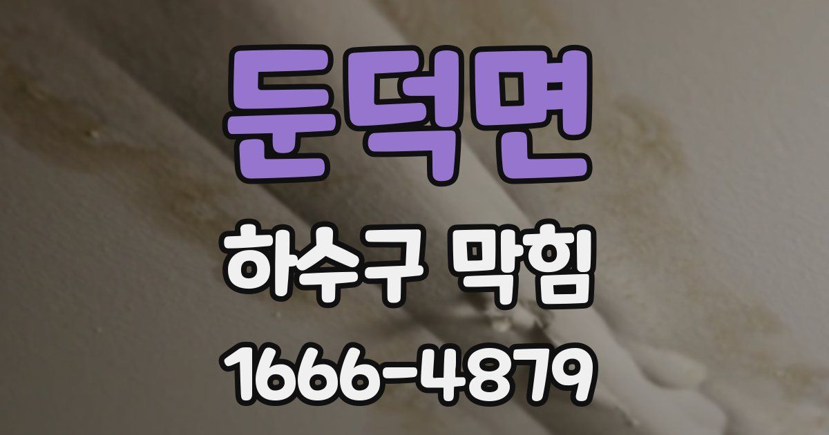 둔덕면 하수구 막힘
