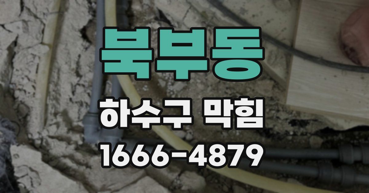 북부동 하수구 막힘