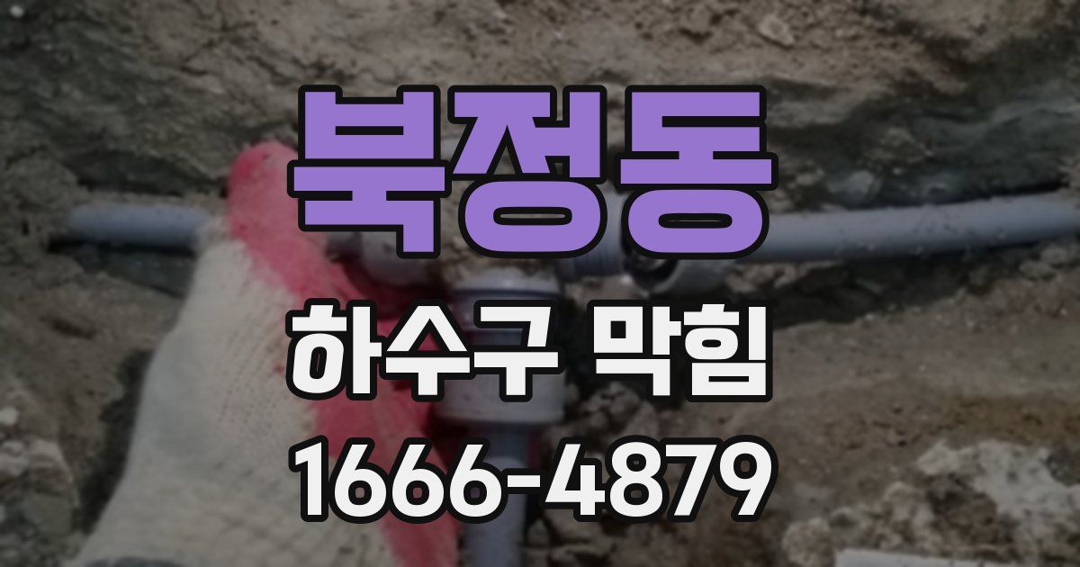 북정동 하수구 막힘