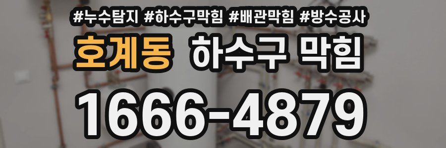 호계동 하수구 막힘