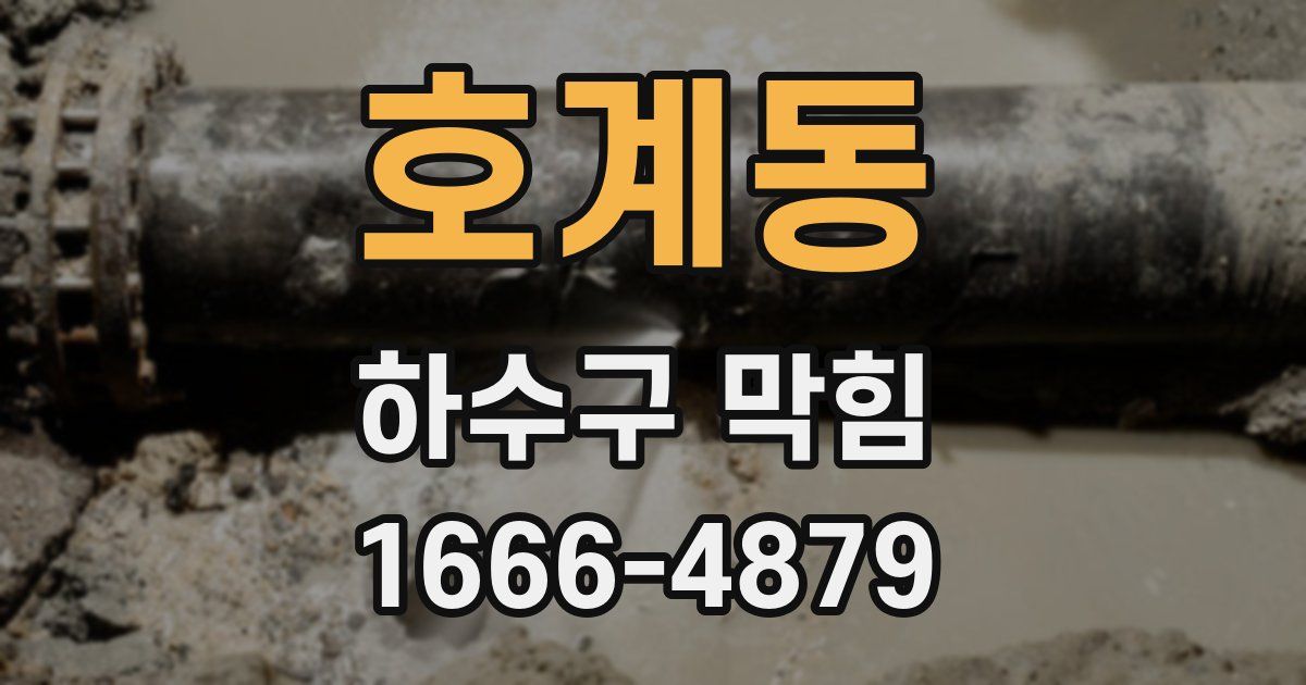 호계동 하수구 막힘