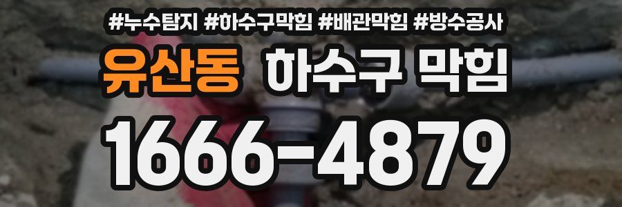 유산동 하수구 막힘