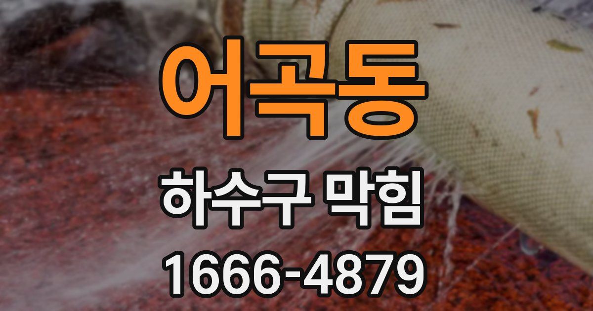 어곡동 하수구 막힘