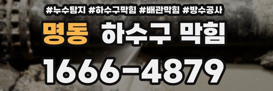 명동 하수구 막힘