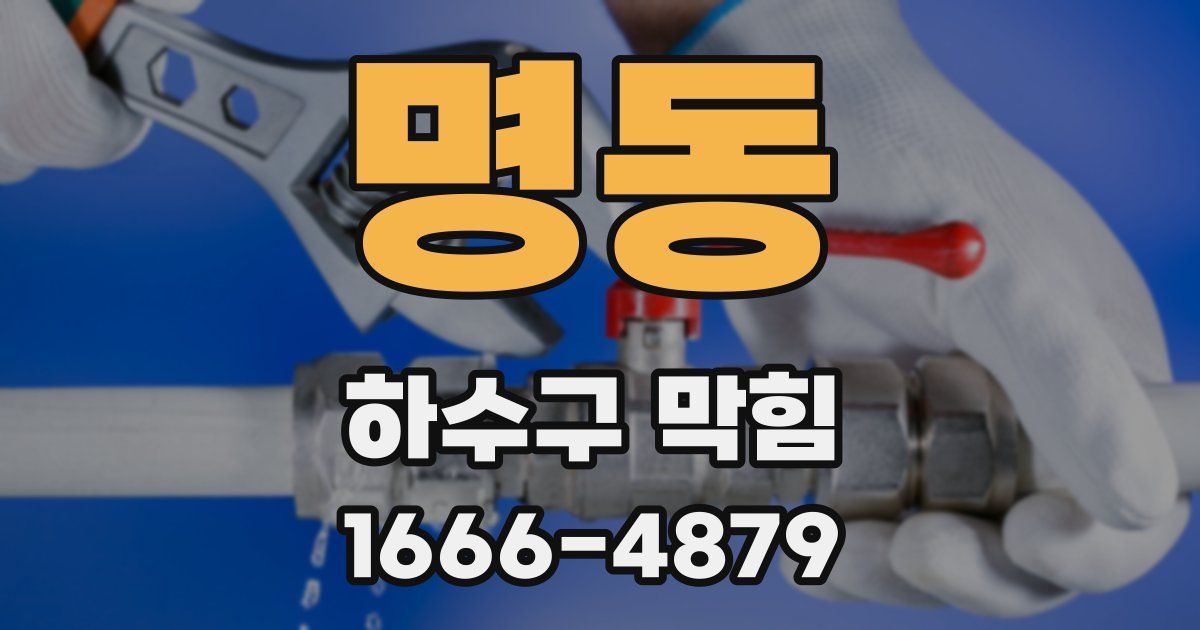 명동 하수구 막힘