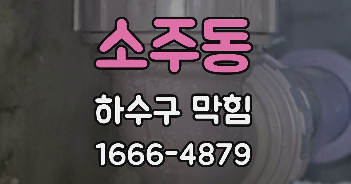 소주동 하수구 막힘