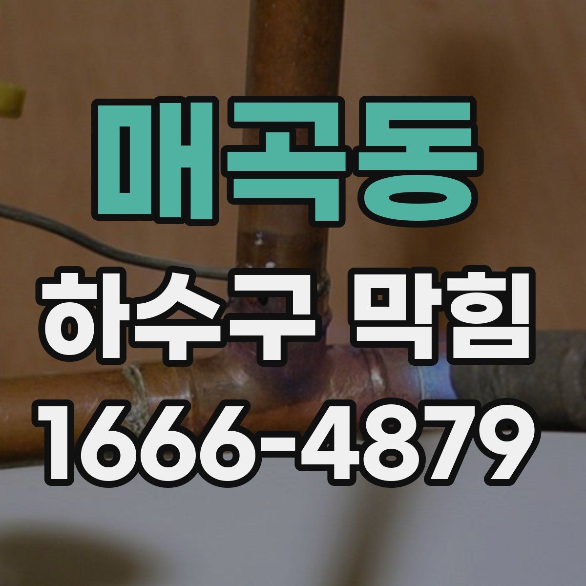 매곡동 하수구 막힘