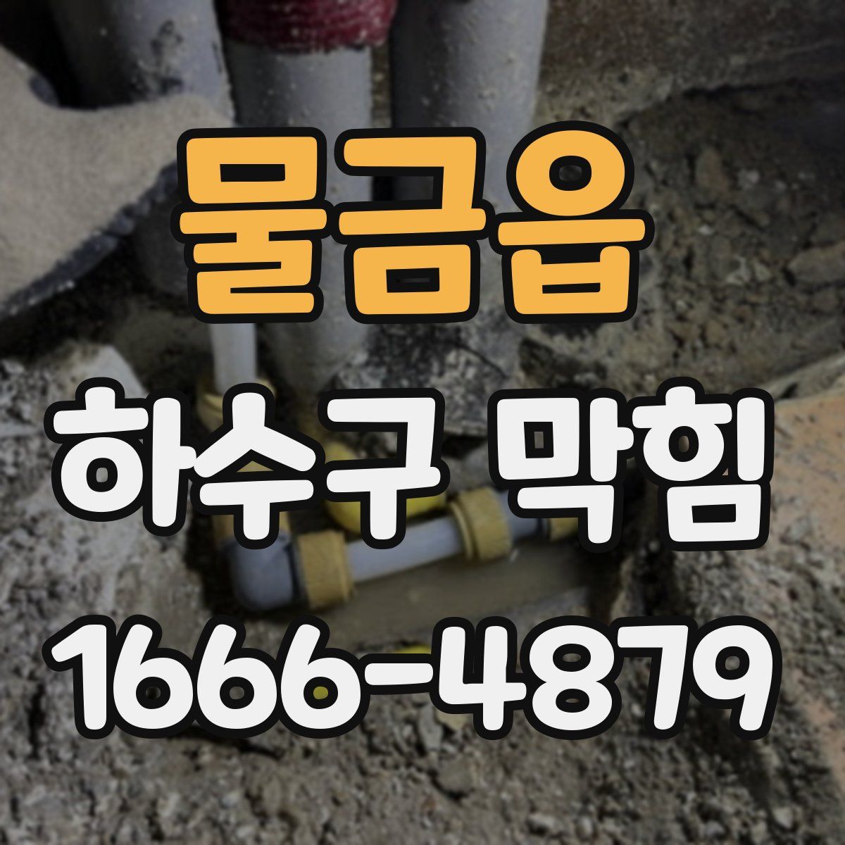 물금읍 하수구 막힘