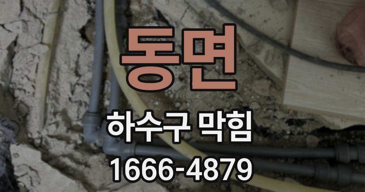 동면 하수구 막힘