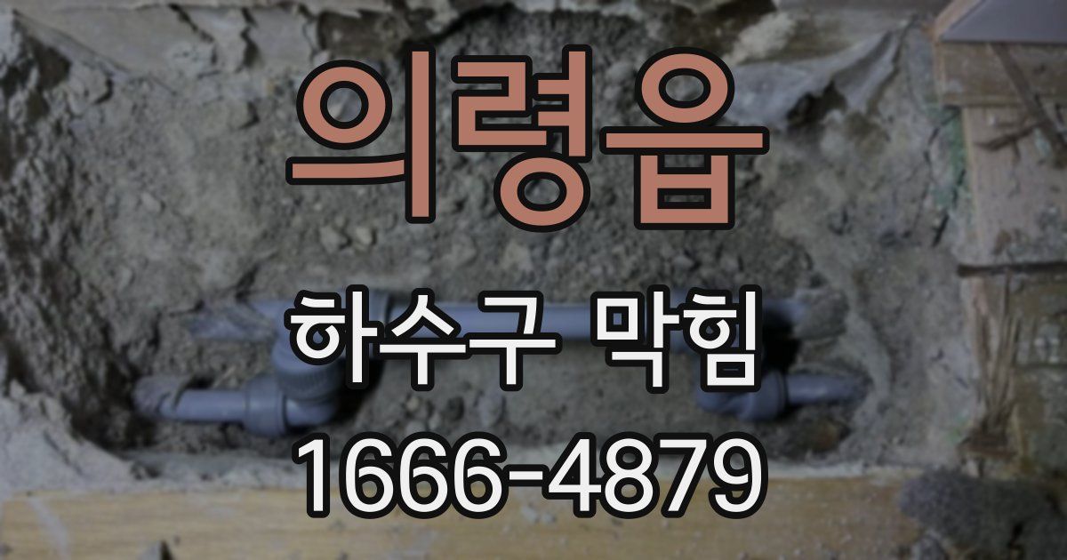 의령읍 하수구 막힘