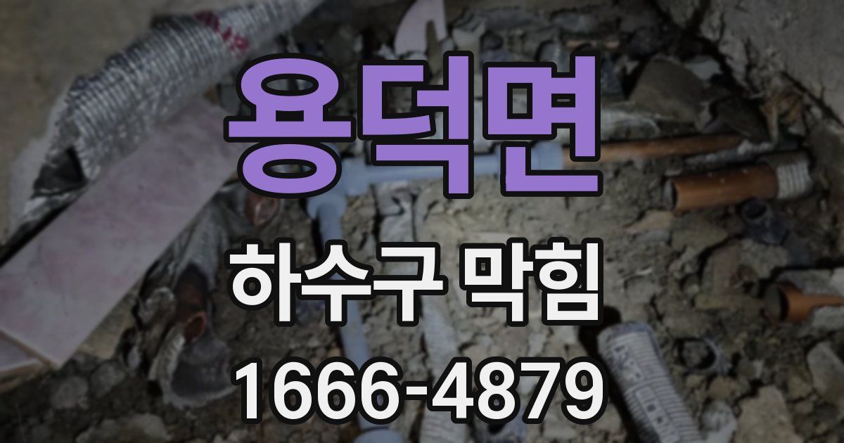 용덕면 하수구 막힘