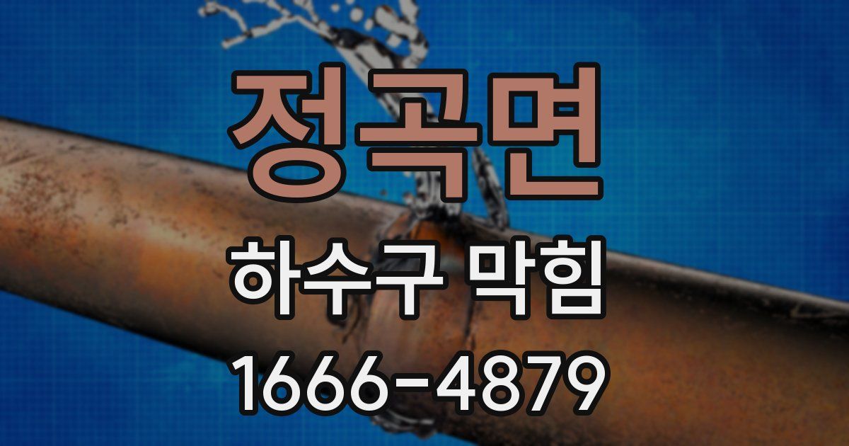 정곡면 하수구 막힘