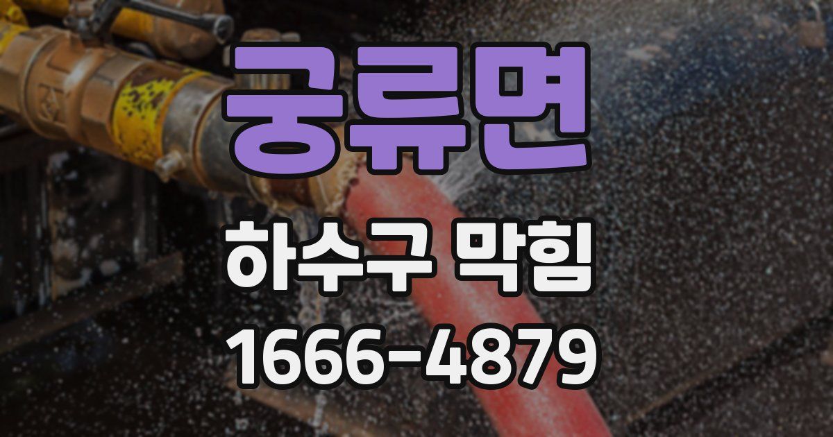 궁류면 하수구 막힘
