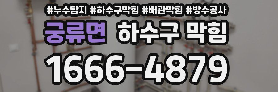 궁류면 하수구 막힘