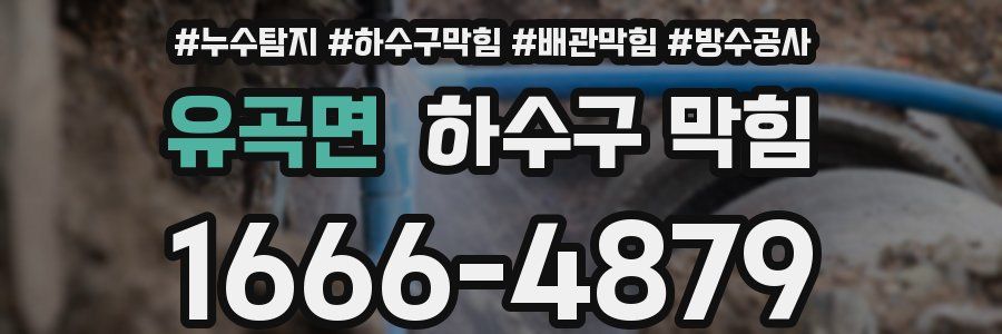 유곡면 하수구 막힘