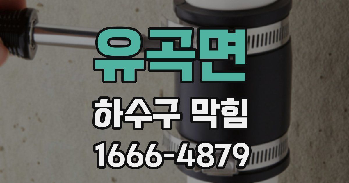 유곡면 하수구 막힘