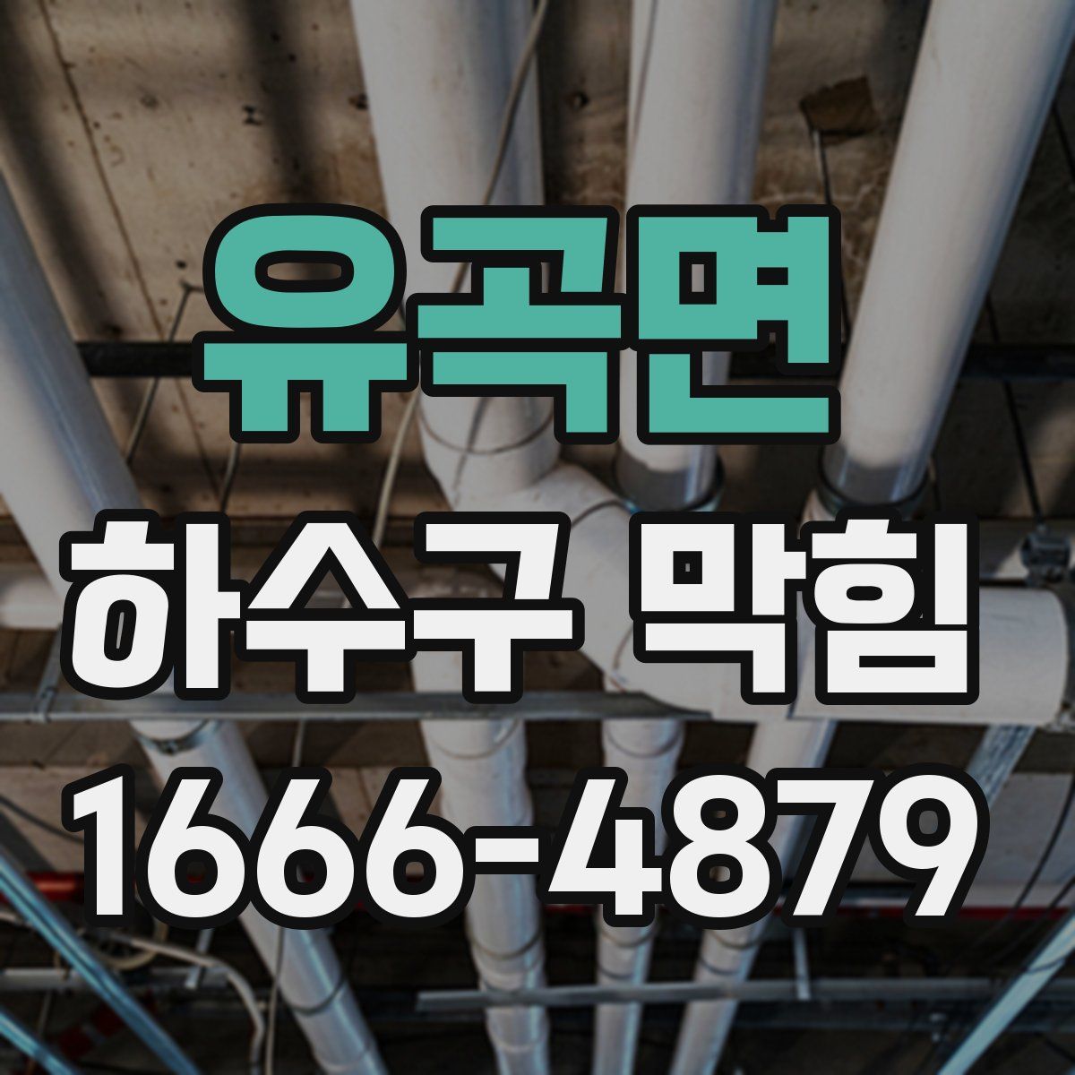 유곡면 하수구 막힘