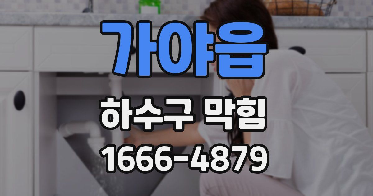 가야읍 하수구 막힘