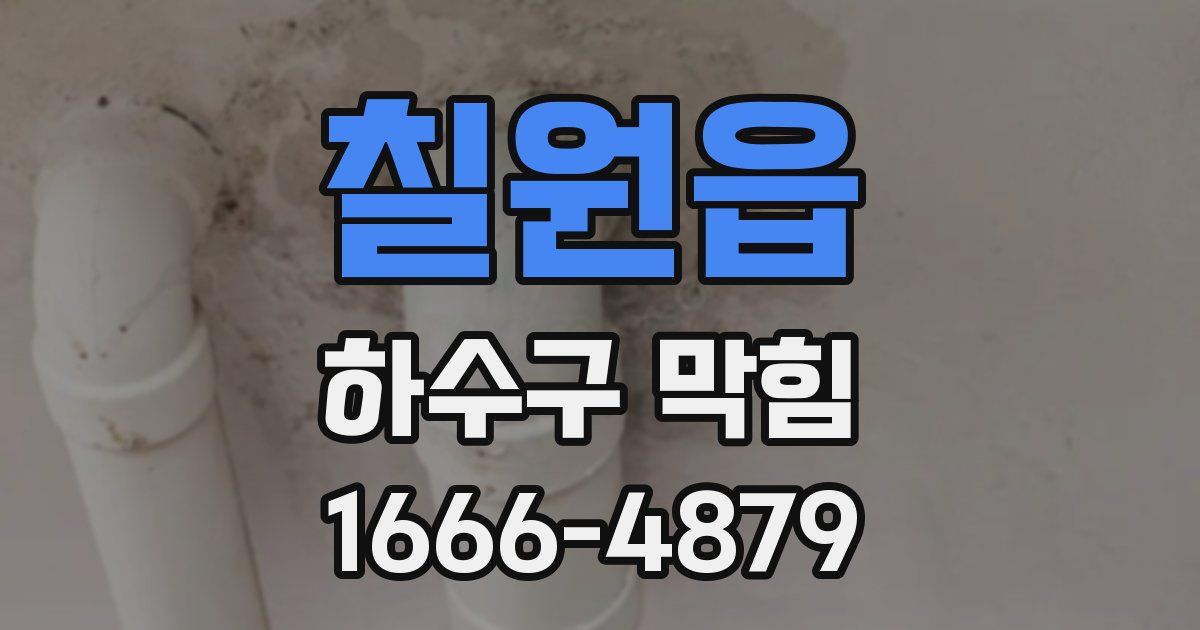 칠원읍 하수구 막힘