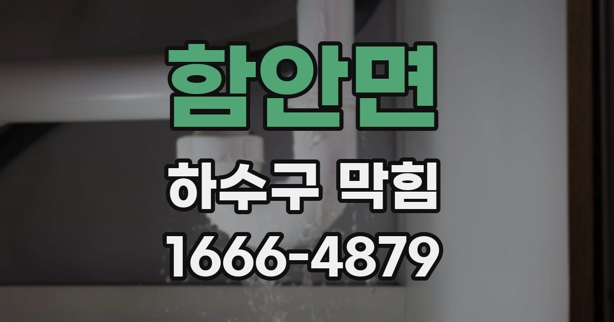 함안면 하수구 막힘