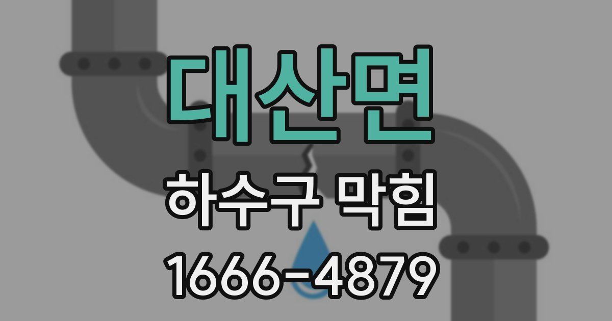 대산면 하수구 막힘