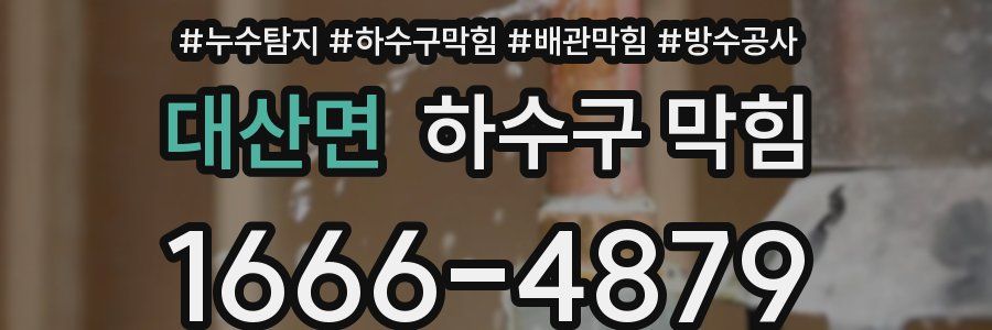 대산면 하수구 막힘