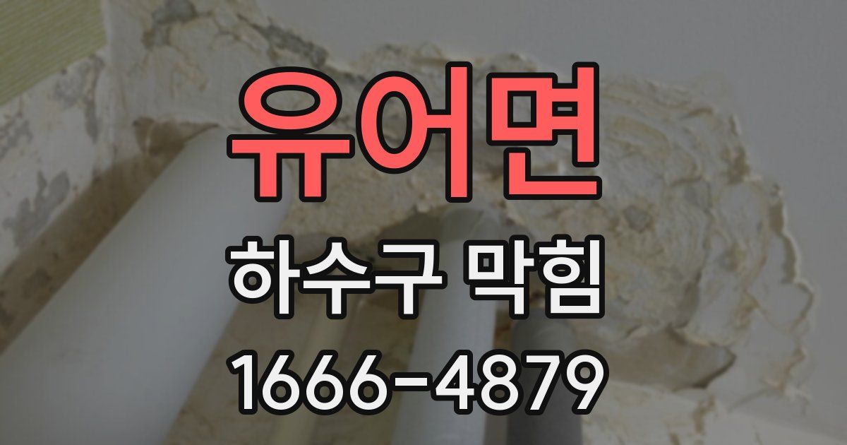 유어면 하수구 막힘