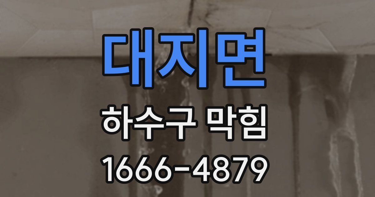 대지면 하수구 막힘