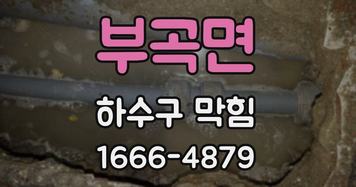 부곡면 하수구 막힘