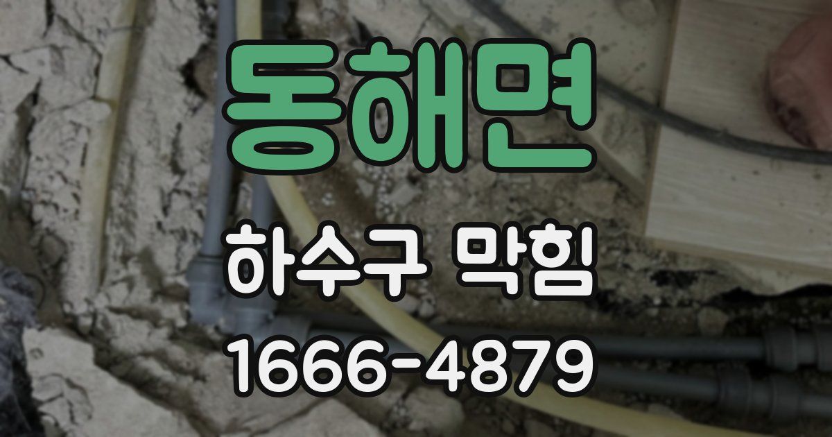 동해면 하수구 막힘