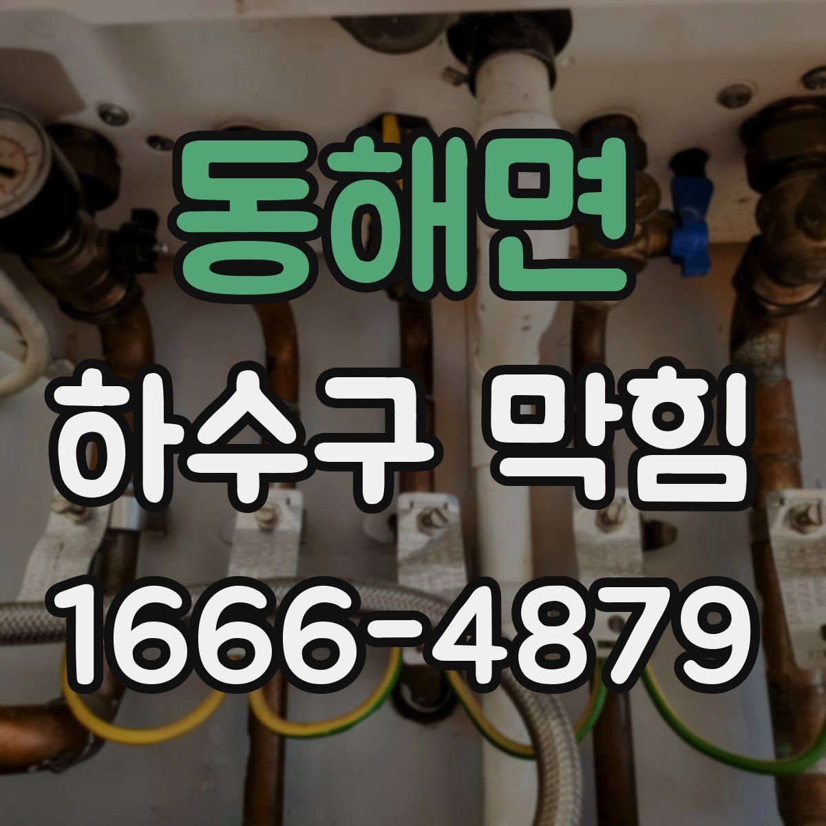 동해면 하수구 막힘