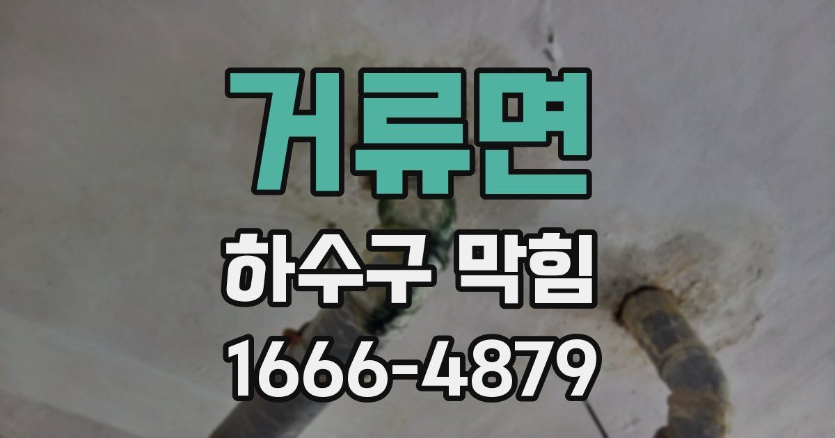 거류면 하수구 막힘