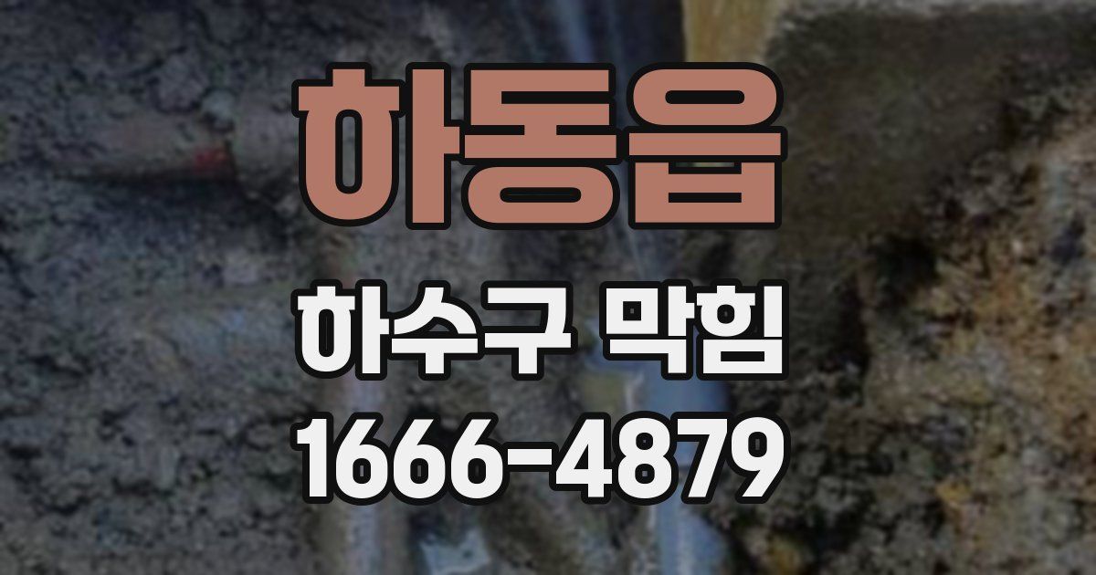 하동읍 하수구 막힘