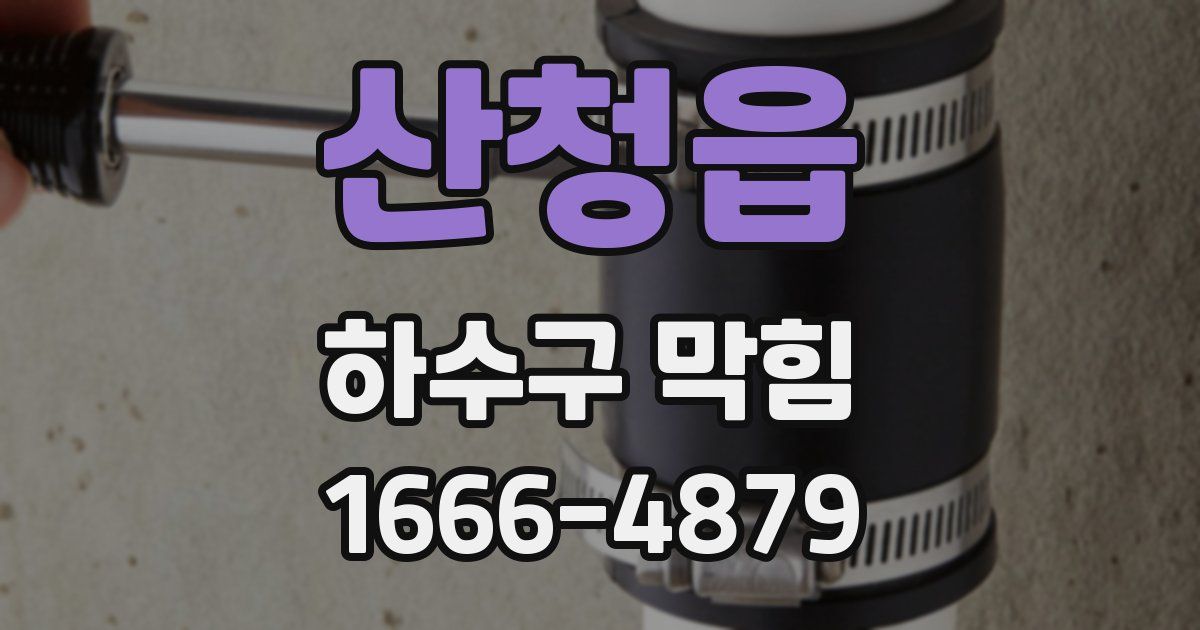 산청읍 하수구 막힘