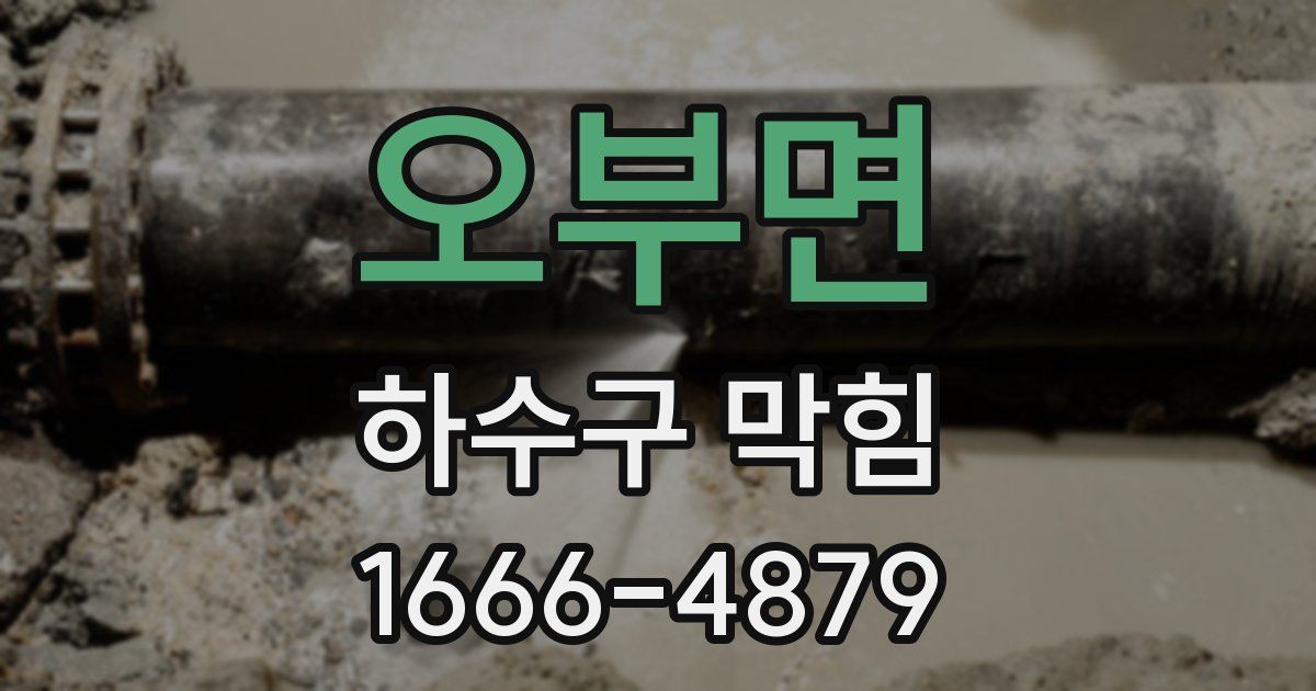 오부면 하수구 막힘