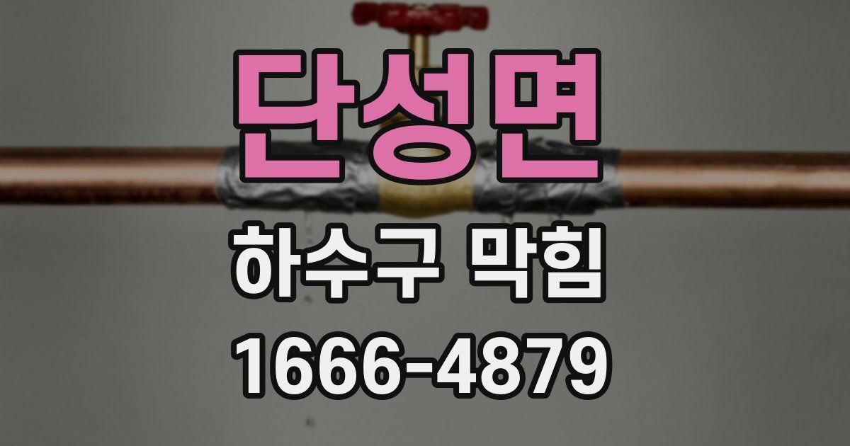 단성면 하수구 막힘