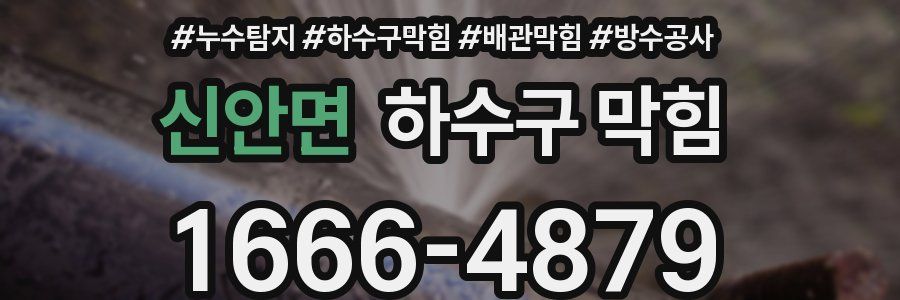 신안면 하수구 막힘