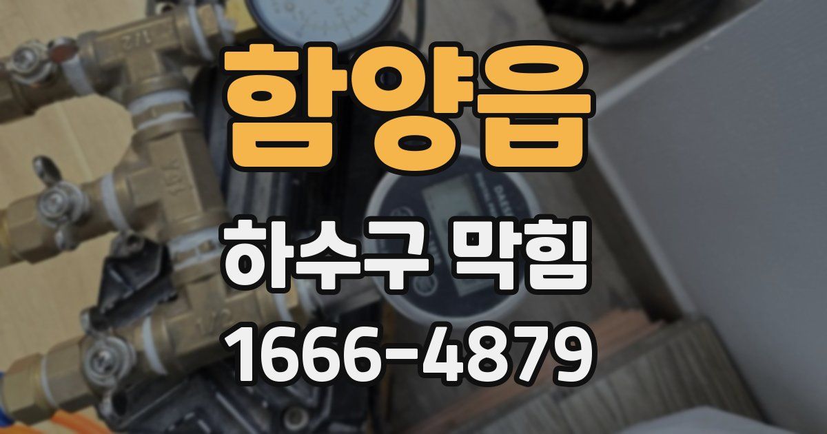 함양읍 하수구 막힘
