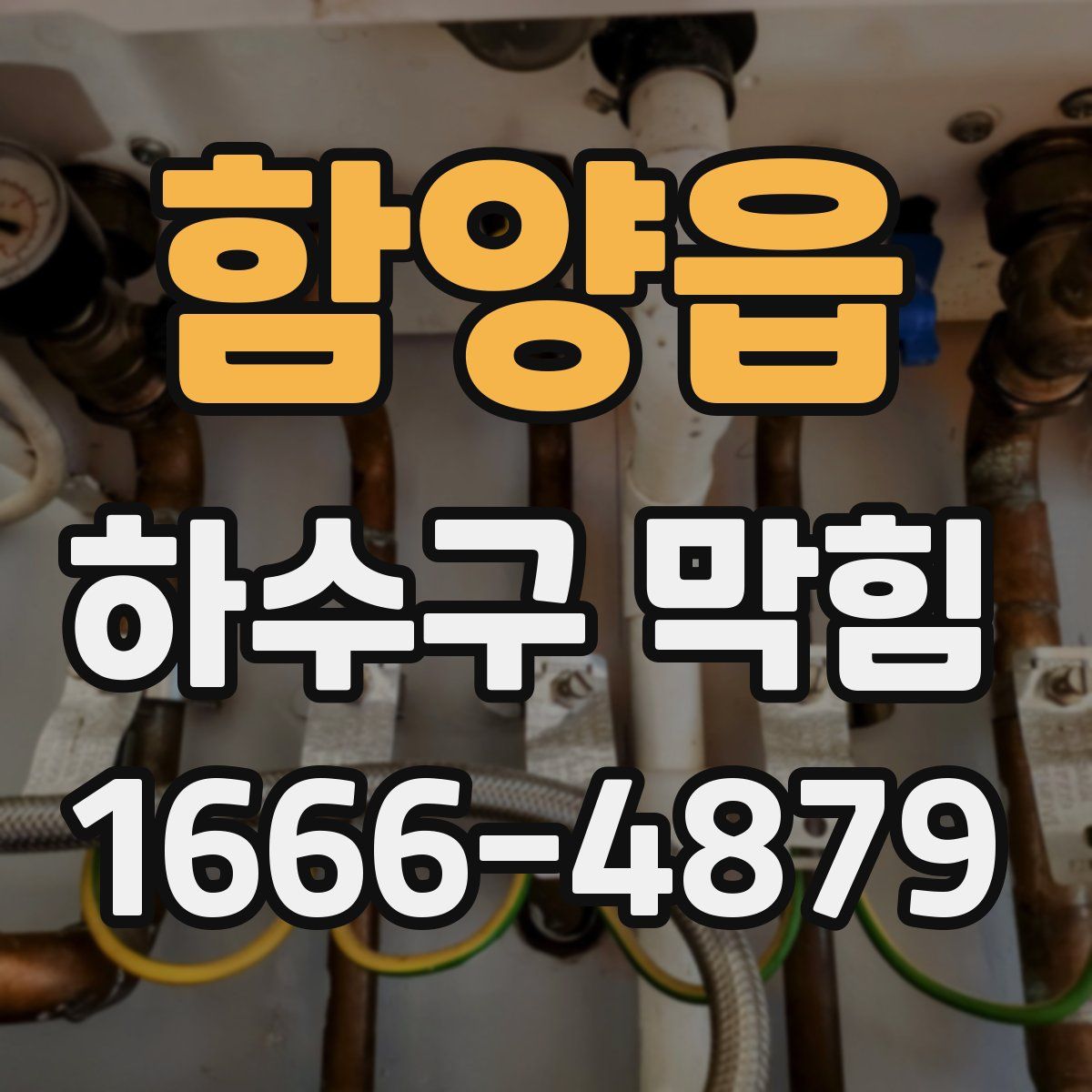 함양읍 하수구 막힘