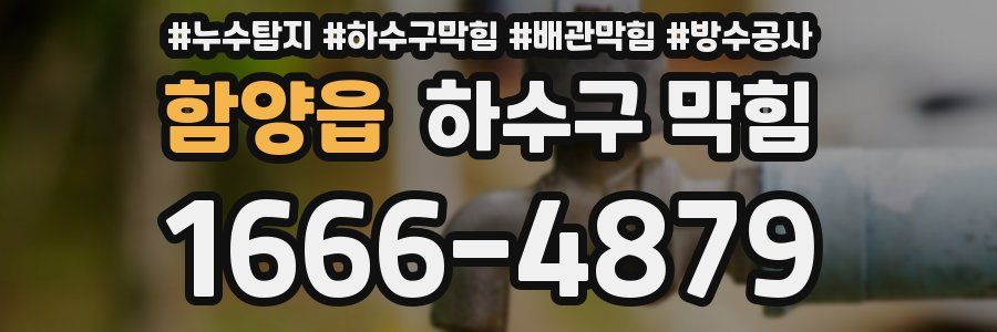 함양읍 하수구 막힘