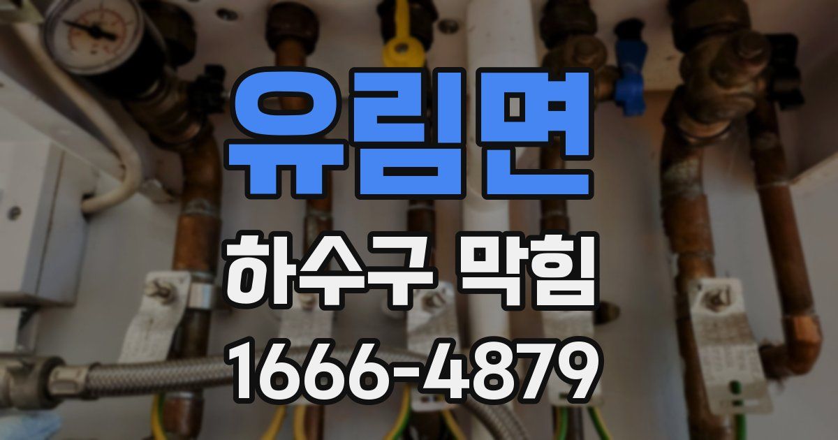 유림면 하수구 막힘