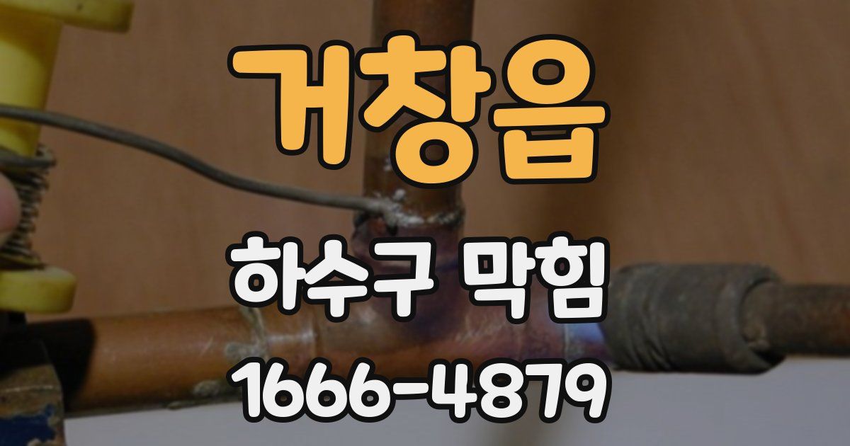 거창읍 하수구 막힘