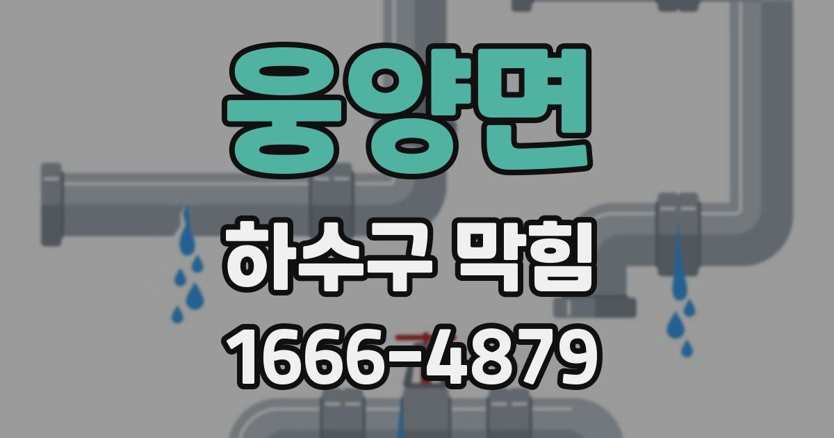 웅양면 하수구 막힘