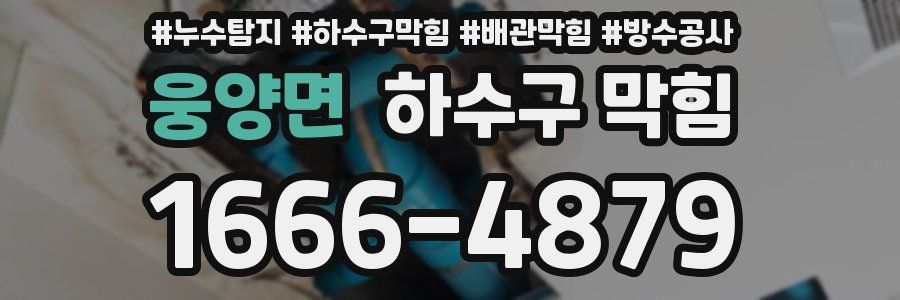 웅양면 하수구 막힘